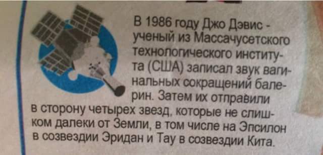 «Все вокруг – просто иллюзия»: физик-ядерщик рассказал о муравье, благодаря которому существует наша Вселенная