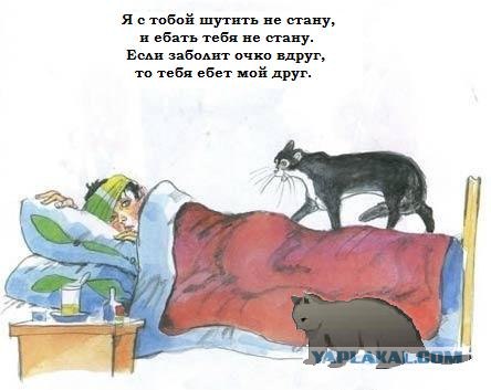 Кот, Антошка и порошок
