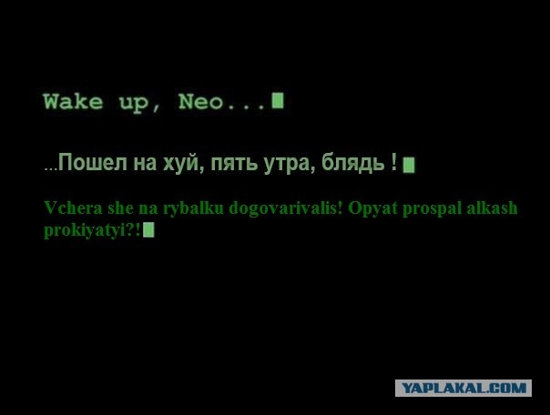 Прикольные и просто красивые картинки 07.08.2020