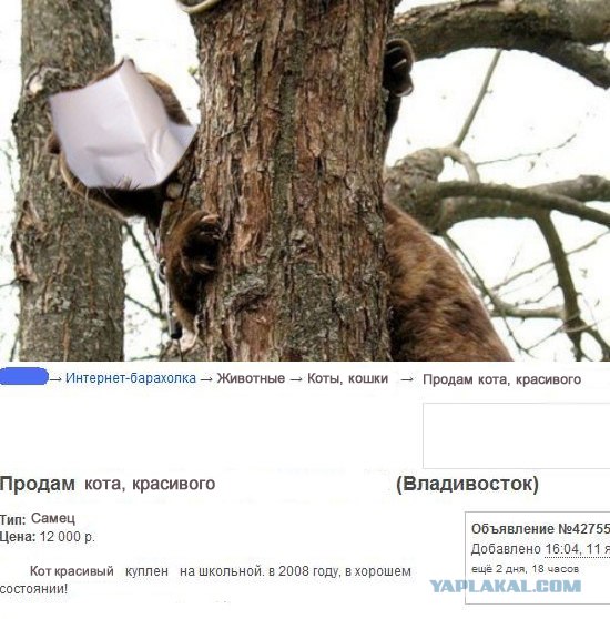 Фотожаба: Знатный Зверюга