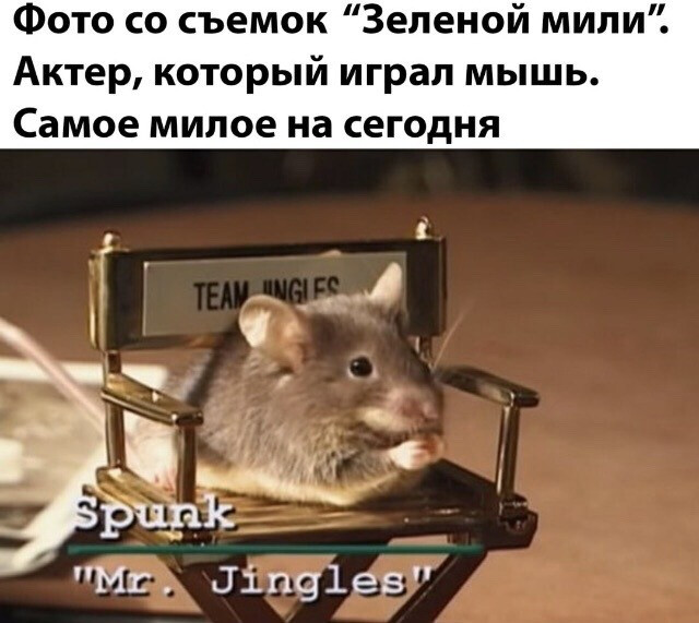 Фотки и картинки: юморные и красивые, забавные и милые 21.10.20