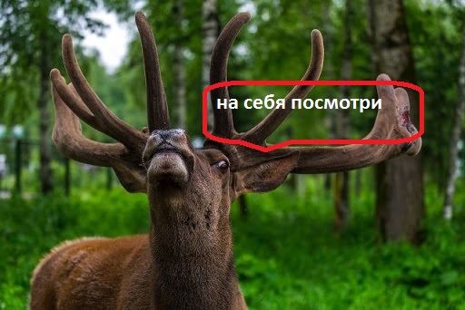 Почему умные и красивые женщины все чаще выбирают одиночество