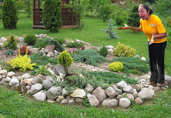 Фотожаба "Ты кого бабой назвал?" (Zhaberbottle 3)