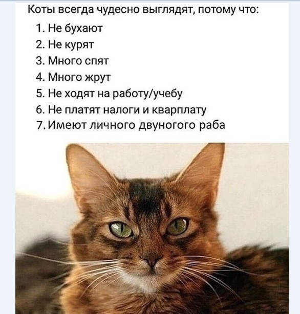 Картинки и мемы для настроения 024