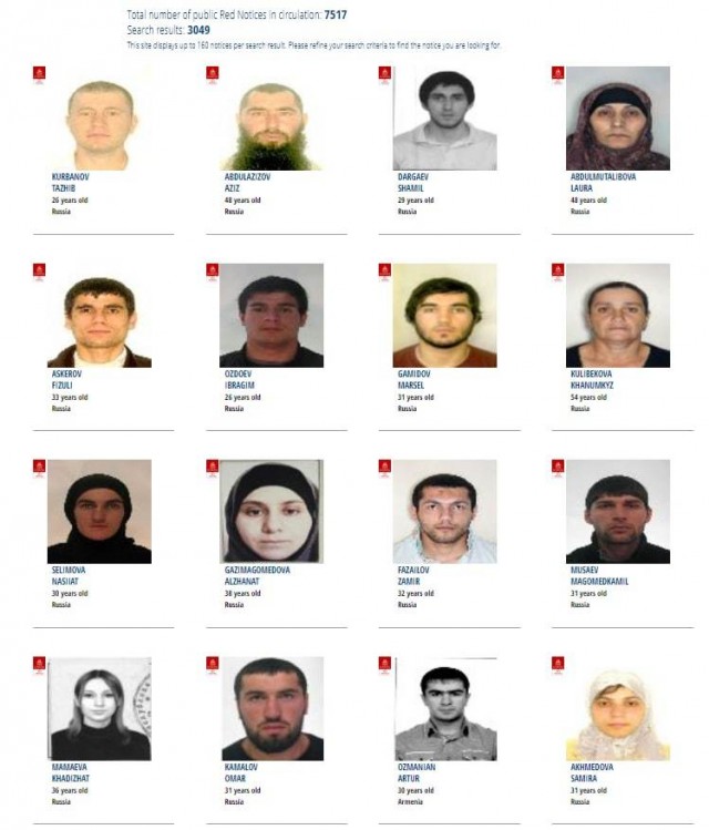 Особенности состава разыскиваемых преступников из РФ по данным Интерпола