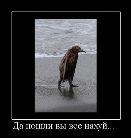 Стадное чувство не сработало