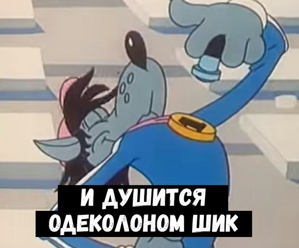 15404187.jpg