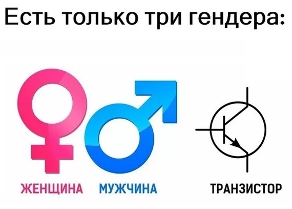 Что она несёт?