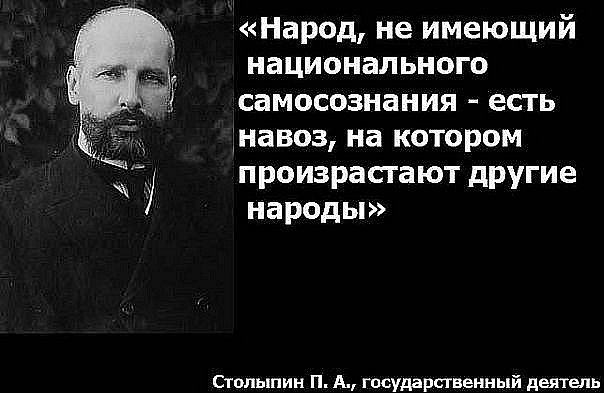 Житель Северного Кавказа отделался условным сроком за серьёзное преступление в Ленобласти — попросили старейшины.