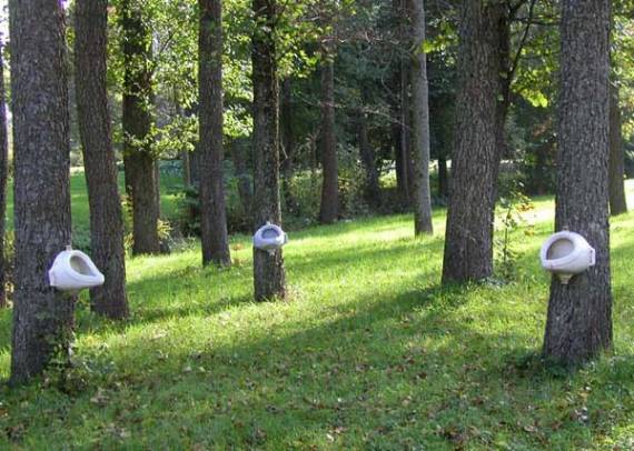 «Как какать в лесу?» — в Польше установили информационные таблички о правилах дефекации на природе
