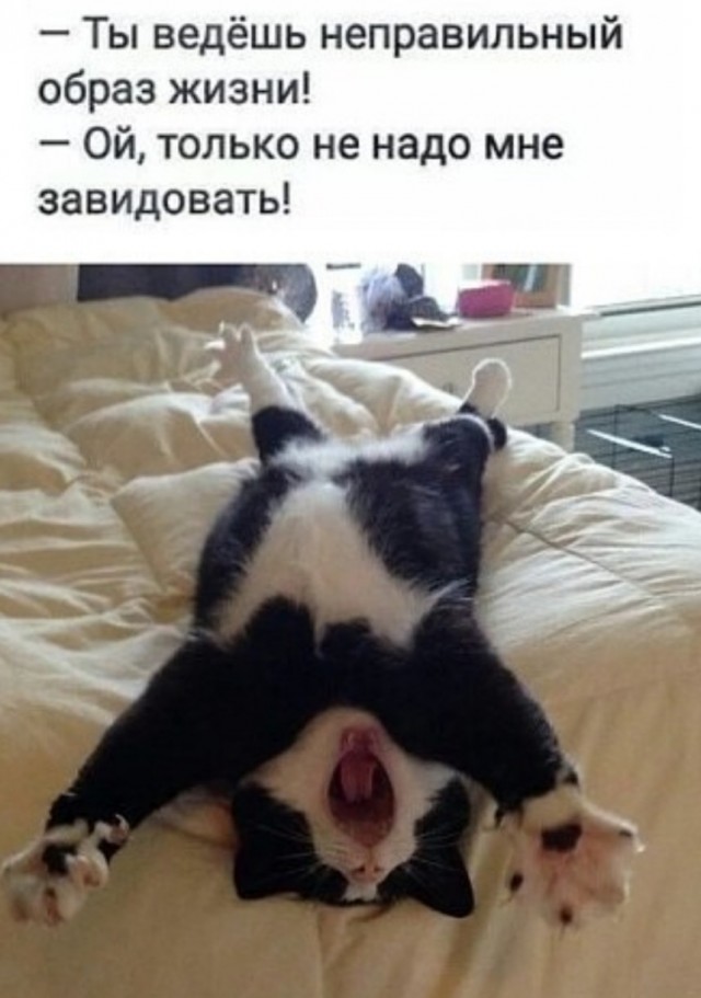 Алкоголь напиток рабов?