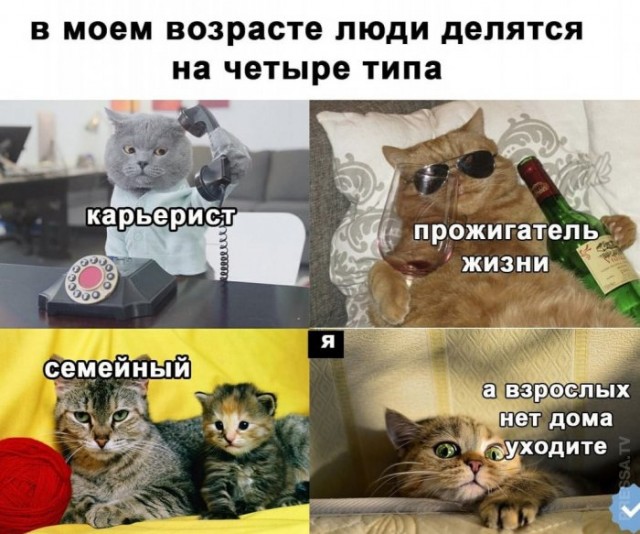 Картинки и мемы, всем прекрасных выходных