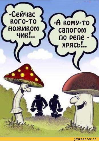 Грибочки