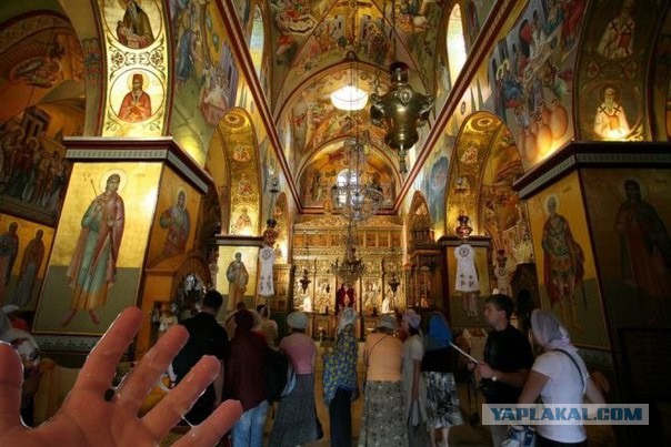 Все, что нужно, для успешной Деградации человека