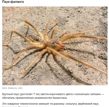 Пандемия съехавших крыш. Разновидности болезни. Россия и мир. Часть 36