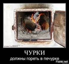 Размышления о толерантности