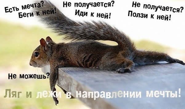 Картинки и мемы, всем хороших выходных