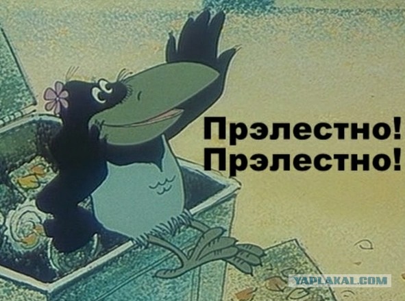 Кот с лампой