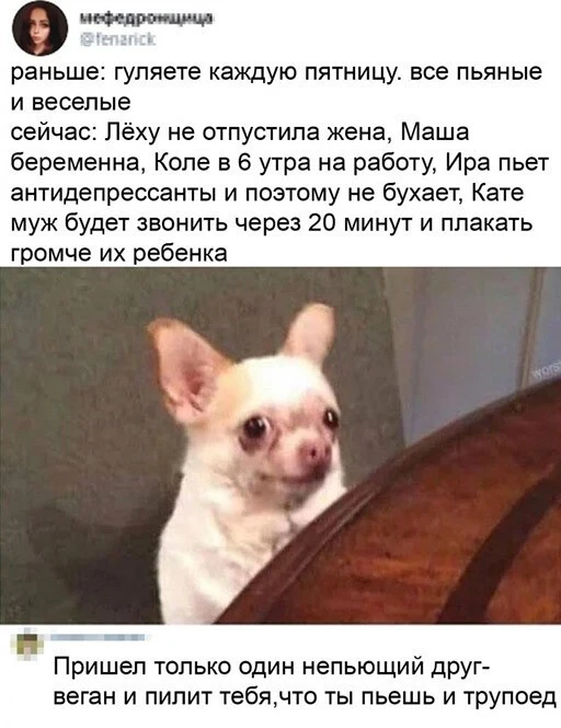 Алкопост 12.11.22