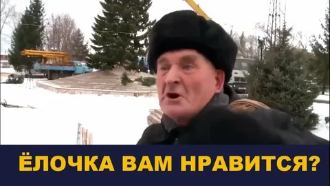 Жена, я тут елку у барыг прикупил