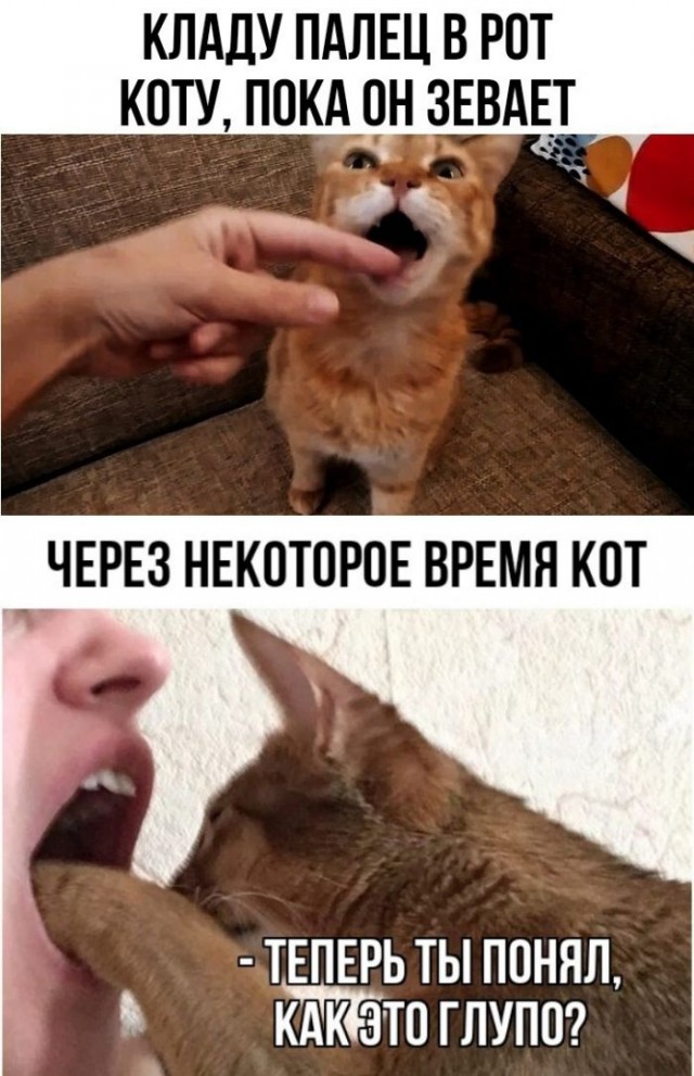 Немного картинок для настроения - 127