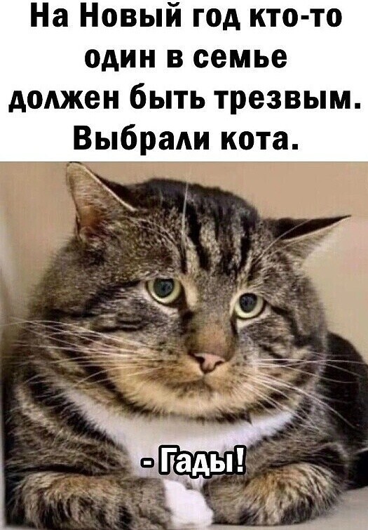 Юмор в картинках и без 22.12.2022