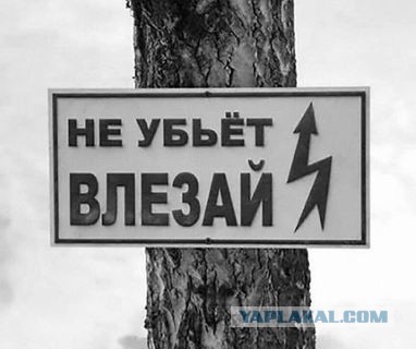 Ученица смерти