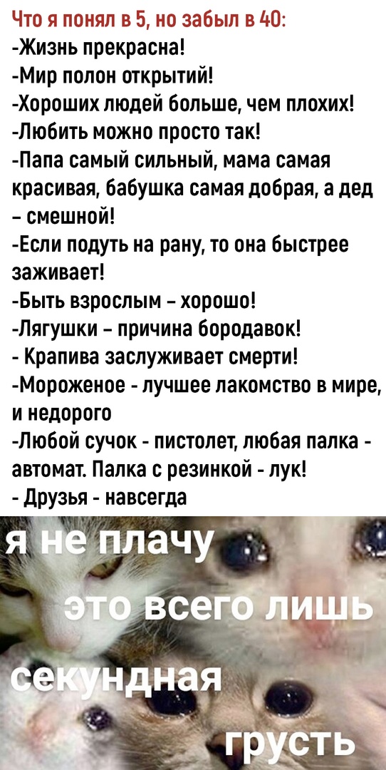 Так себе картинки 26.01.23