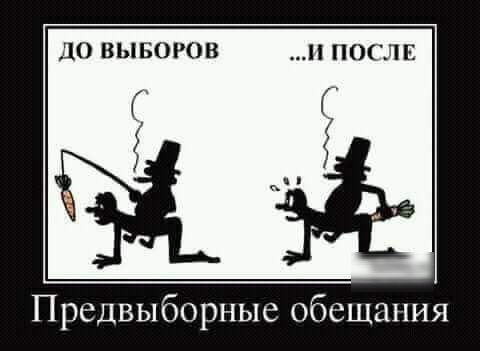 Фарш из баянов