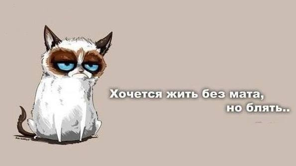 Матерщинные слова не буду я употре...
