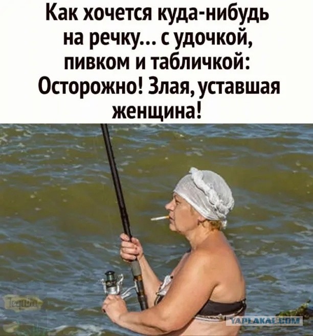 Шесть мифов о холостяках и их жизни