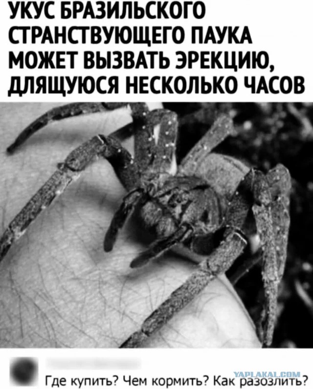 Так себе картинки 20.11.23