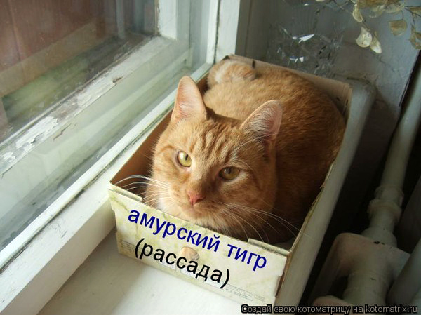 Вторник-повторник 12-12-2023