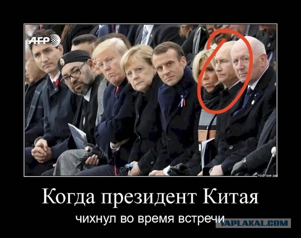 Так себе картинки 13.02.25
