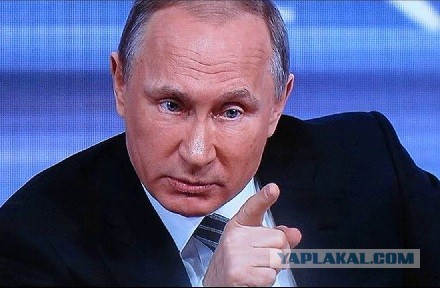 Путин поручил вывести в России ГМО-деревья