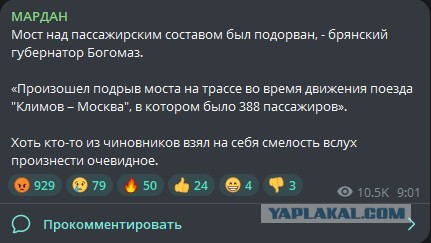 В Брянской области обрушился мост, под которым в тот момент проезжал пассажирский поезд