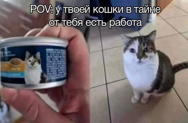 А где Цой?