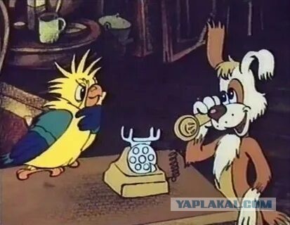 Потеря документов и разводилы