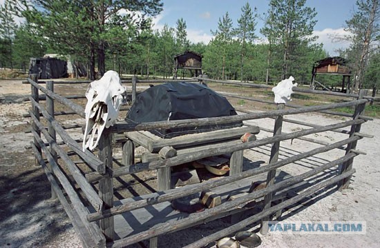 Деревенская Америка