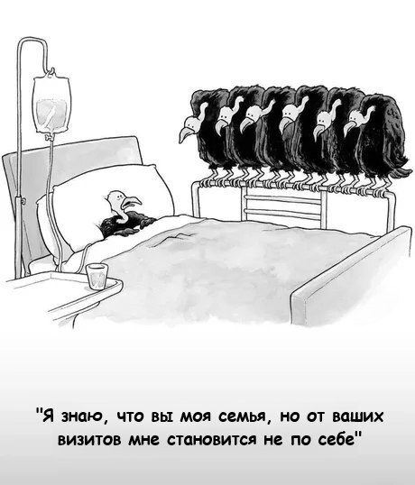 Картинки разные с надписями и без