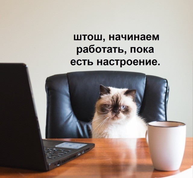 Понедельника картинки
