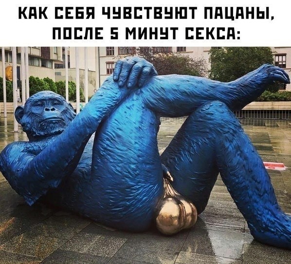 Пошло-баянистая деградация