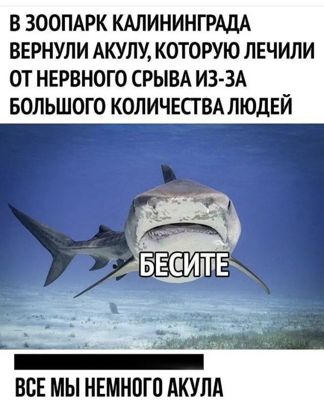 Мемчики и картинки для настроения