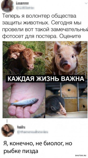 Артемия Лебедева  массово критикуют в соцсетях из-за слов о бездомных собаках