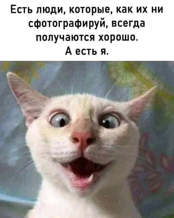 Веселые картинки в пятницу (20.03)