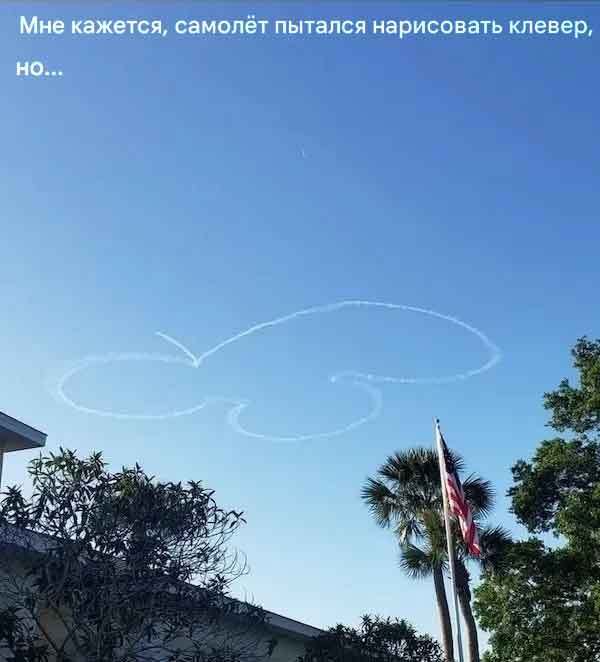 Субботние картинки