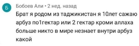 В Южной Корее научились определять сладость арбузов до покупки