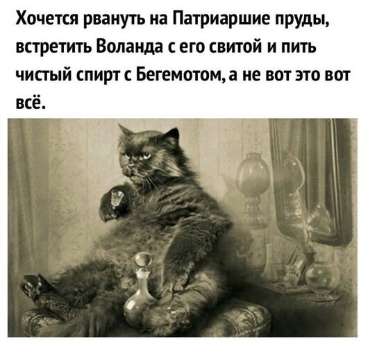 Ты это, товой!