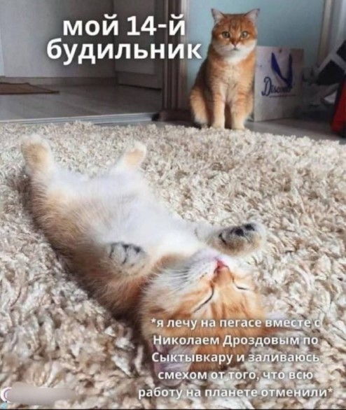 К котовторнику: подборка картинок-баянов с котиками и про котиков. Выпуск 43.