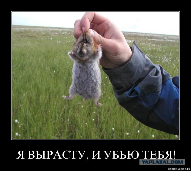 Попался